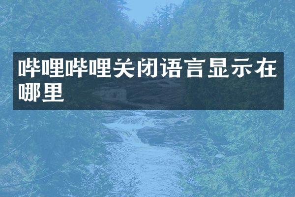 哔哩哔哩关闭语言显示在哪里