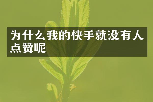 为什么我的快手就没有人点赞呢