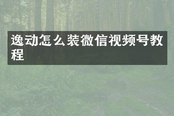 逸动怎么装微信视频号教程