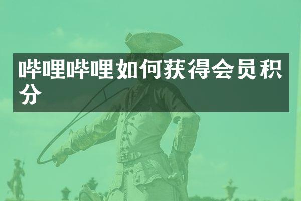 哔哩哔哩如何获得会员积分