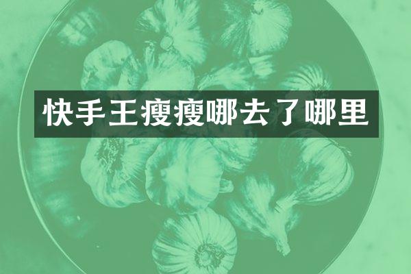 快手王瘦瘦哪去了哪里