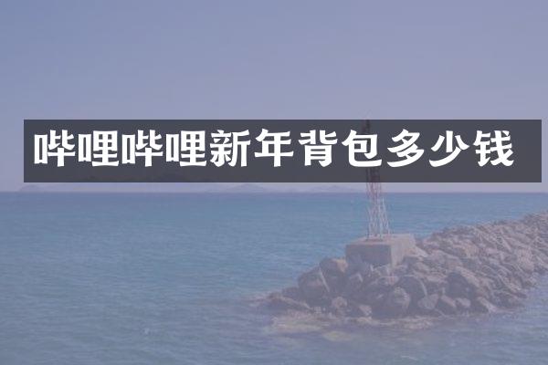 哔哩哔哩新年背包多少钱