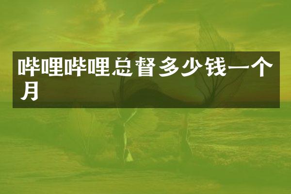 哔哩哔哩总督多少钱一个月