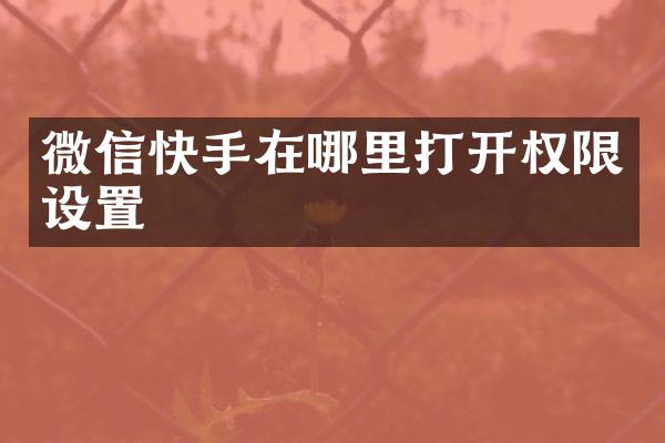 微信快手在哪里打开权限设置