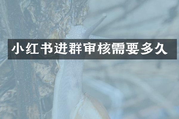 小红书进群审核需要多久