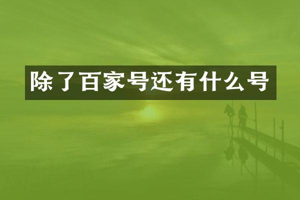 除了百家号还有什么号