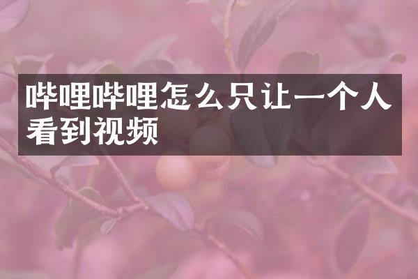 哔哩哔哩怎么只让一个人看到视频