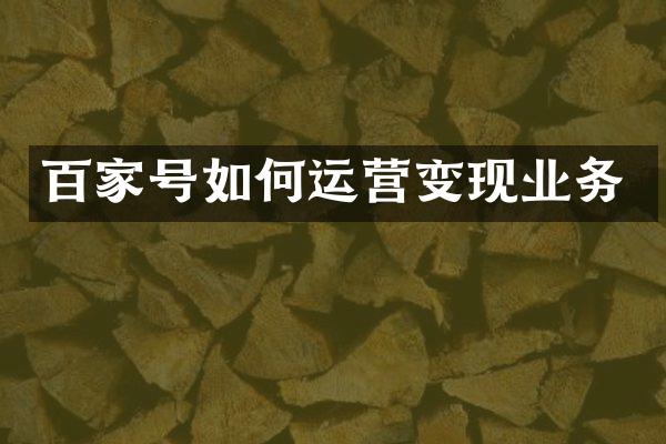 百家号如何运营变现业务