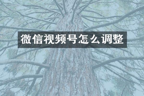 微信视频号怎么调整