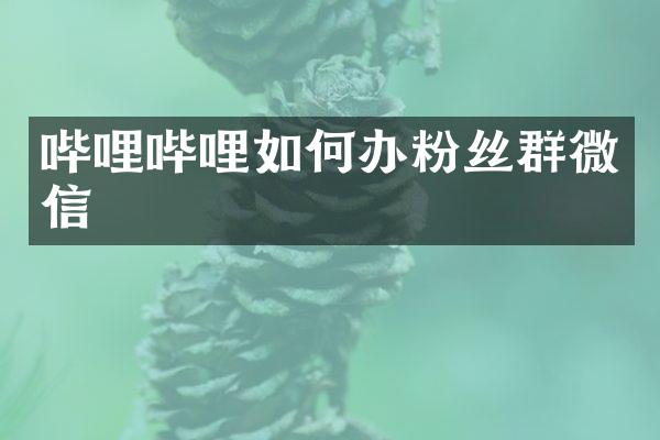 哔哩哔哩如何办粉丝群微信