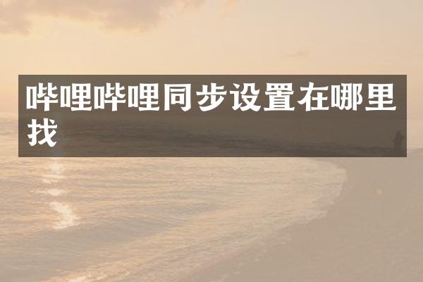 哔哩哔哩同步设置在哪里找