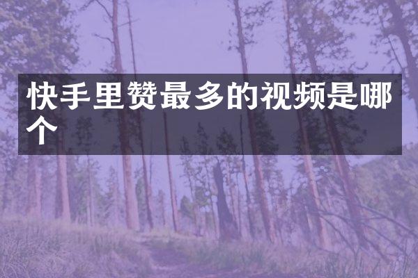 快手里赞最多的视频是哪个