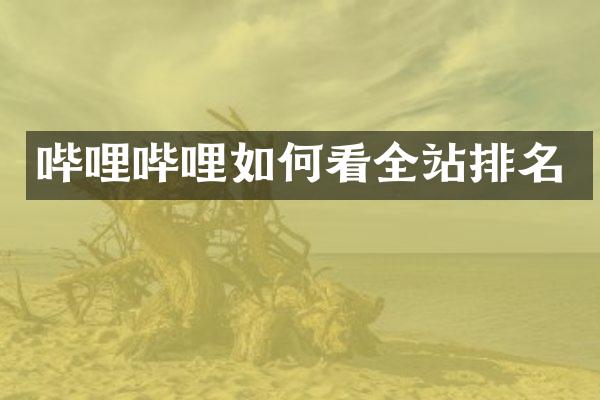 哔哩哔哩如何看全站排名