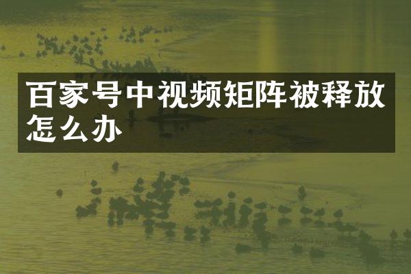 百家号中视频矩阵被释放怎么办