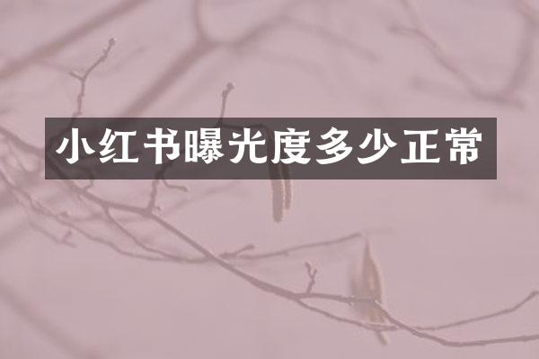 小红书曝光度多少正常