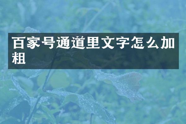 百家号通道里文字怎么加粗