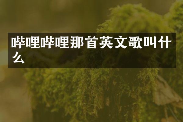 哔哩哔哩那首英文歌叫什么