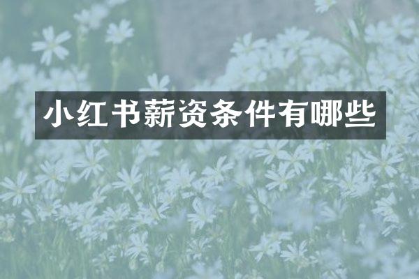 小红书薪资条件有哪些