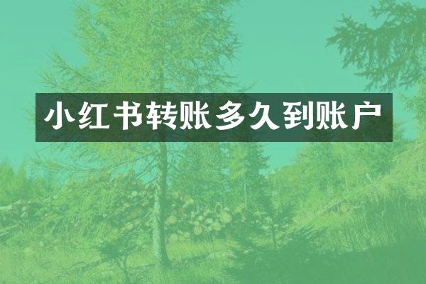 小红书转账多久到账户