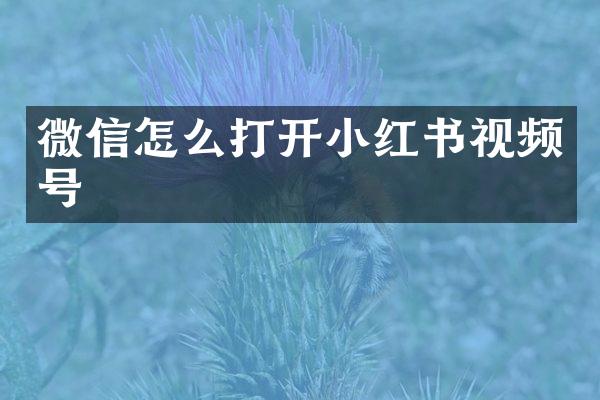 微信怎么打开小红书视频号