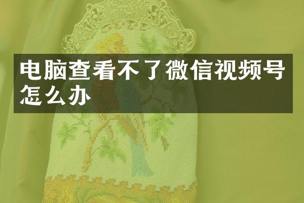 电脑查看不了微信视频号怎么办