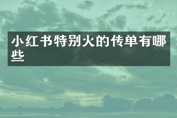 小红书特别火的传单有哪些