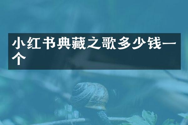 小红书典藏之歌多少钱一个