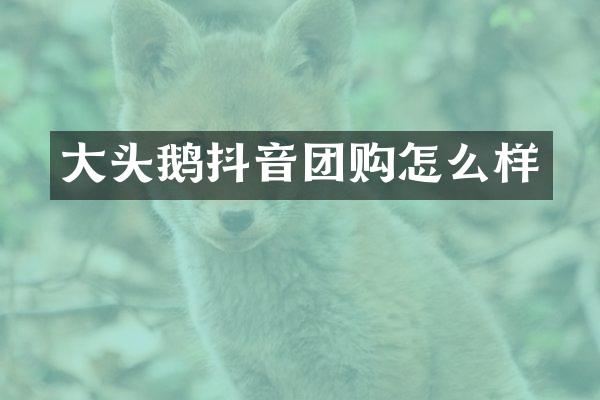 大头鹅抖音团购怎么样