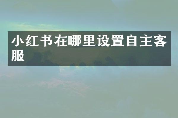 小红书在哪里设置自主客服