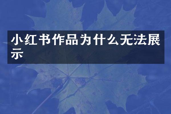 小红书作品为什么无法展示