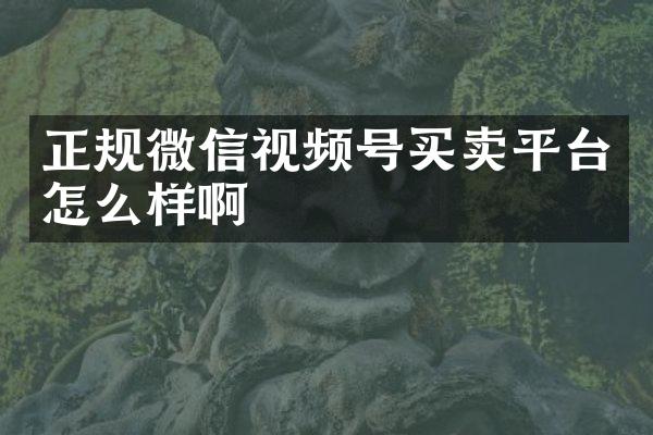 正规微信视频号买卖平台怎么样啊