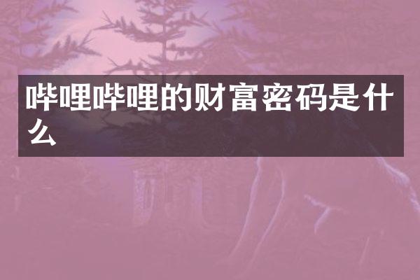 哔哩哔哩的财富密码是什么