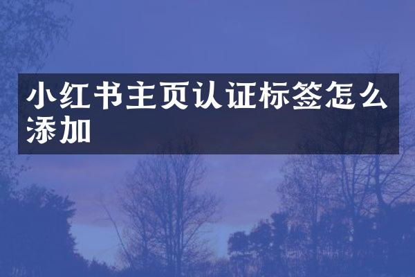 小红书主页认证标签怎么添加
