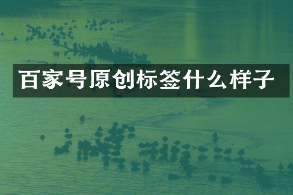 百家号原创标签什么样子
