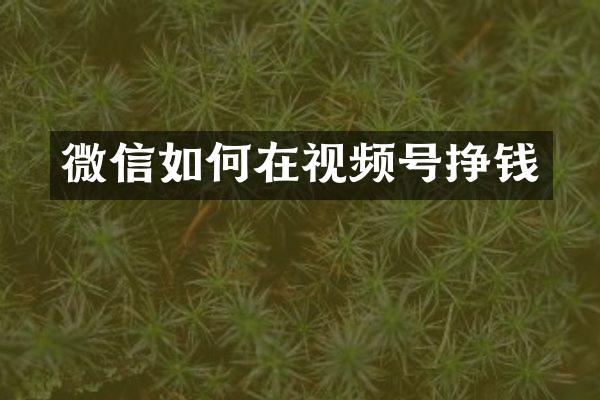 微信如何在视频号挣钱