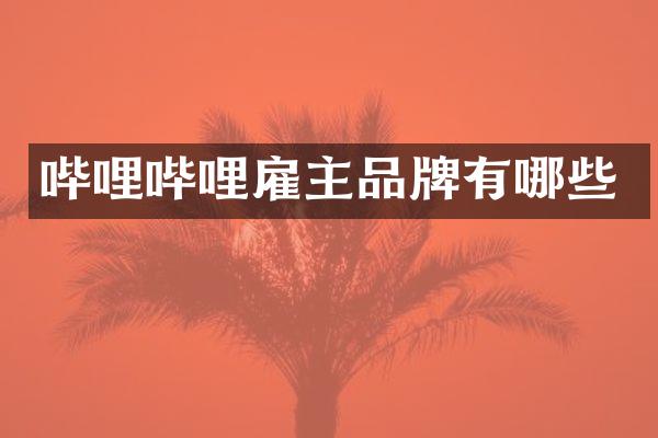 哔哩哔哩雇主品牌有哪些