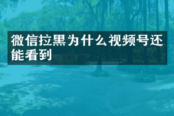 微信拉黑为什么视频号还能看到