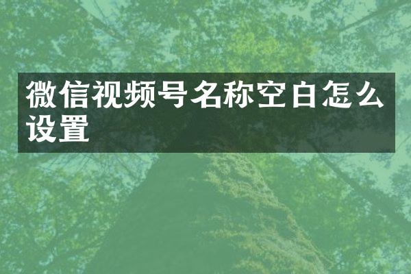 微信视频号名称空白怎么设置