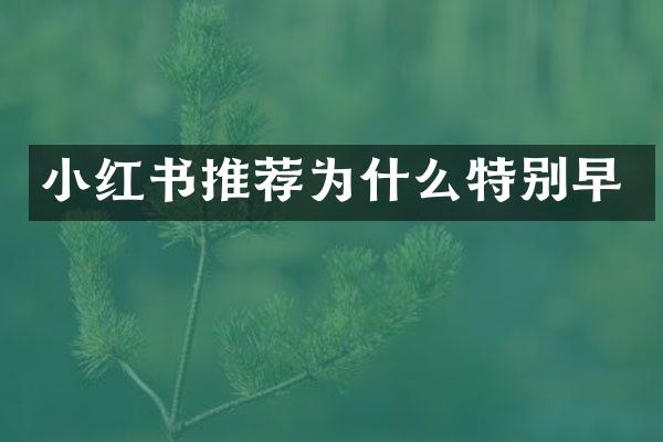小红书推荐为什么特别早