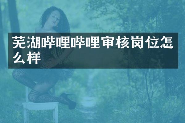 芜湖哔哩哔哩审核岗位怎么样