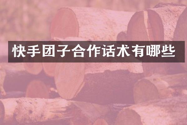 快手团子合作话术有哪些