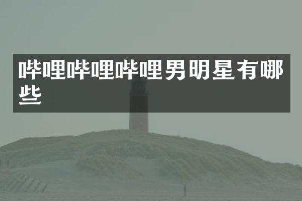 哔哩哔哩哔哩男明星有哪些