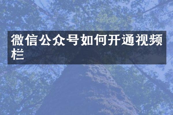 微信公众号如何开通视频栏