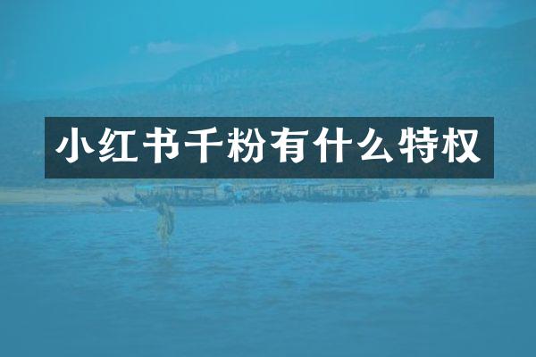 小红书千粉有什么特权