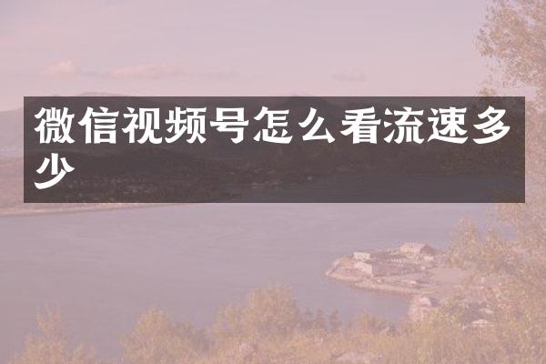 微信视频号怎么看流速多少
