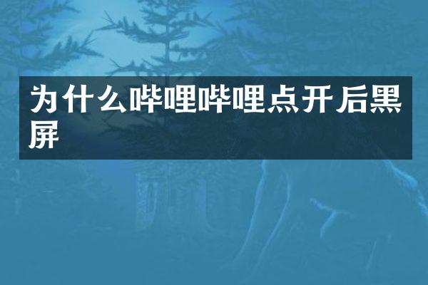 为什么哔哩哔哩点开后黑屏