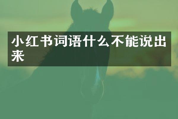 小红书词语什么不能说出来