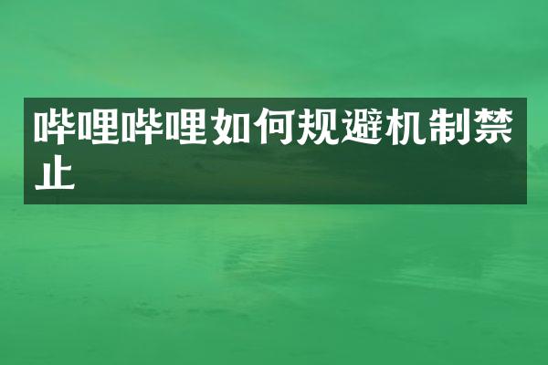 哔哩哔哩如何规避机制禁止