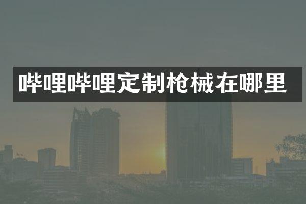 哔哩哔哩定制枪械在哪里