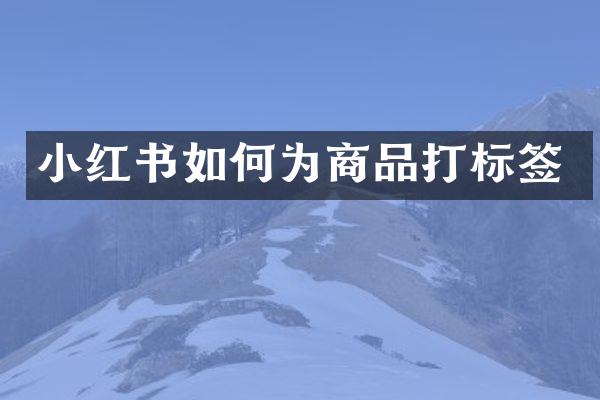 小红书如何为商品打标签